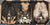 Lord of the Rings - Peter Diamond Giclee set - PACKING ONLY