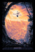 Jurassic Park by Kevin Wilson - AP Regular Edition