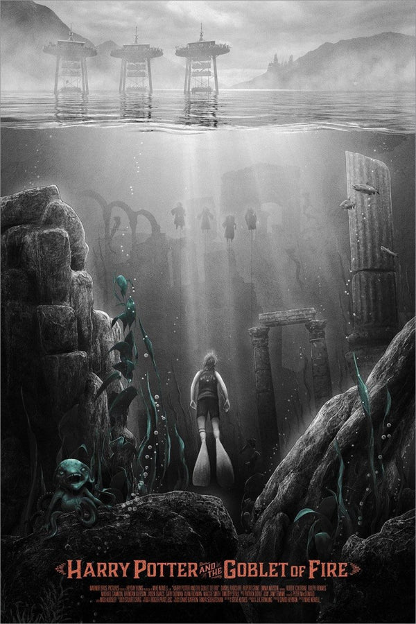 Harry Potter and the Goblet of Fire by Kevin Wilson - AP Variant Edition